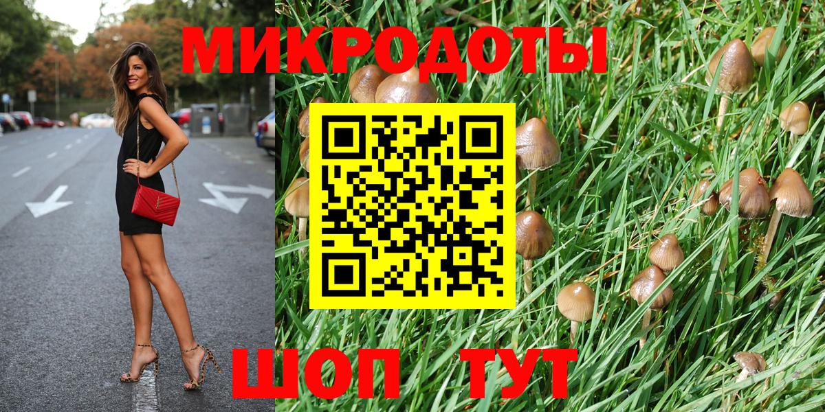  COCAIN Новоалександровск
