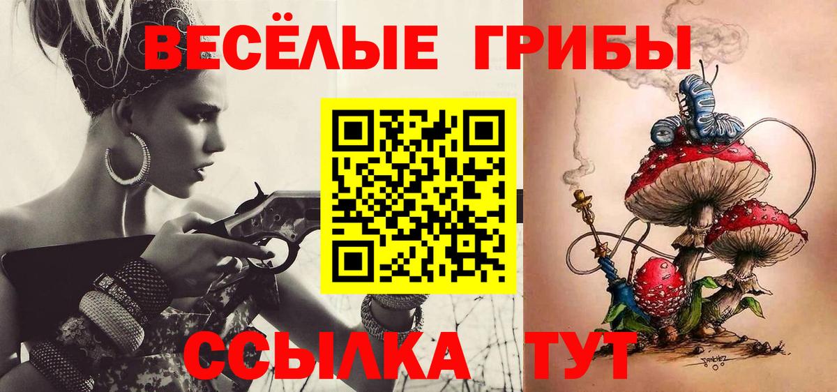 Галлюциногенные грибы Magic Shrooms  купить наркоту  Новоалександровск  Вход с VPN 